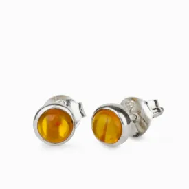 Amber Stud Earrings